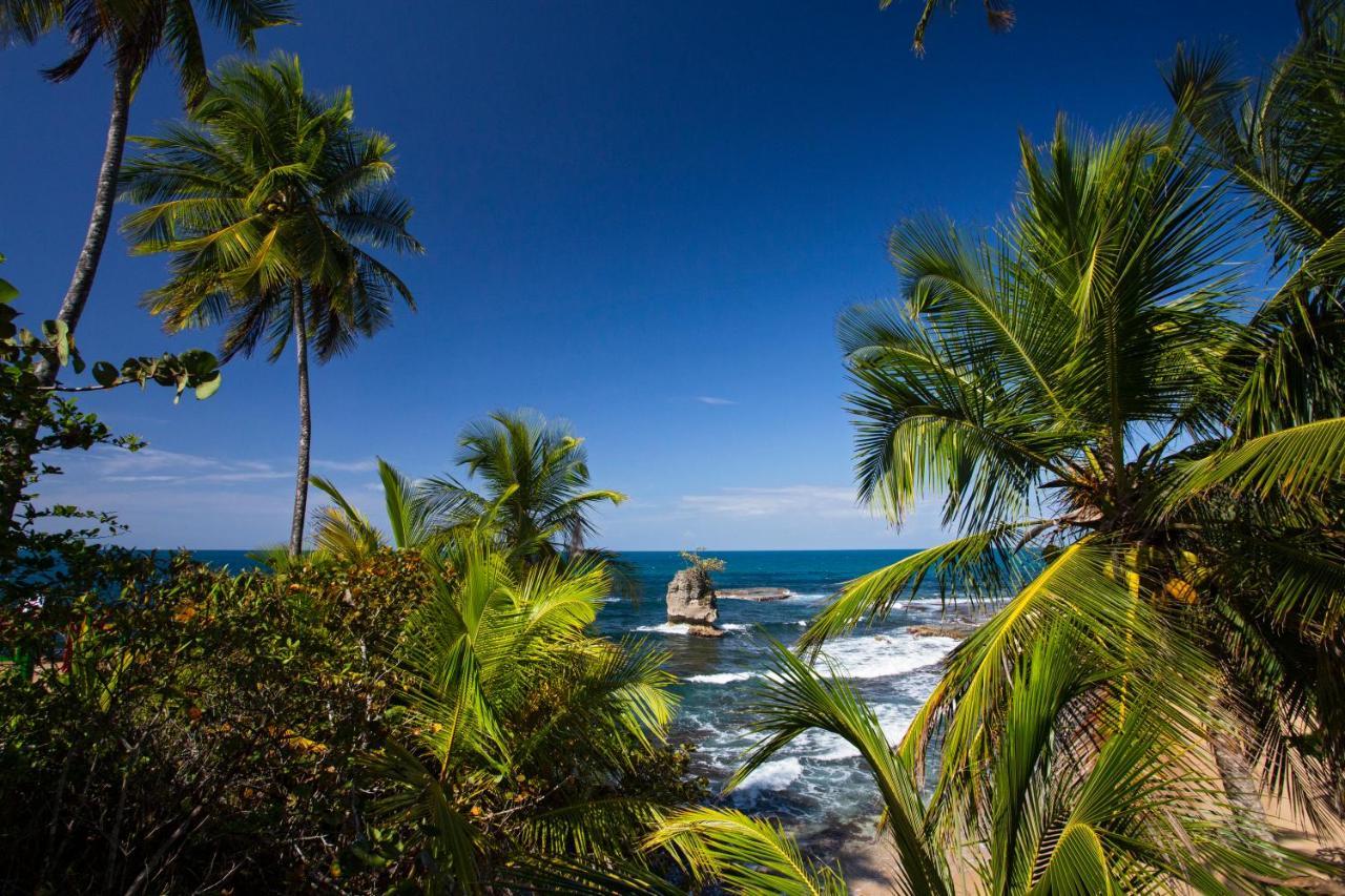 Manzanillo Caribbean Resort Puerto Viejo de Talamanca 외부 사진