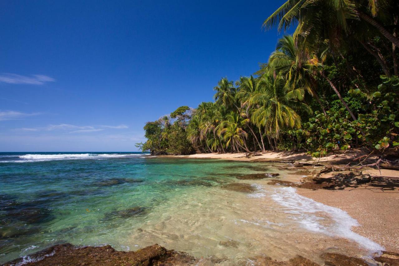 Manzanillo Caribbean Resort Puerto Viejo de Talamanca 외부 사진