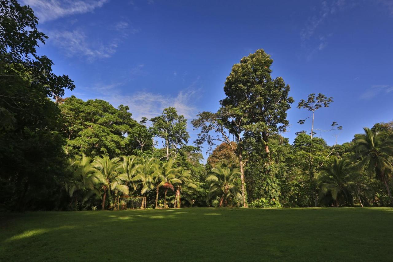 Manzanillo Caribbean Resort Puerto Viejo de Talamanca 외부 사진
