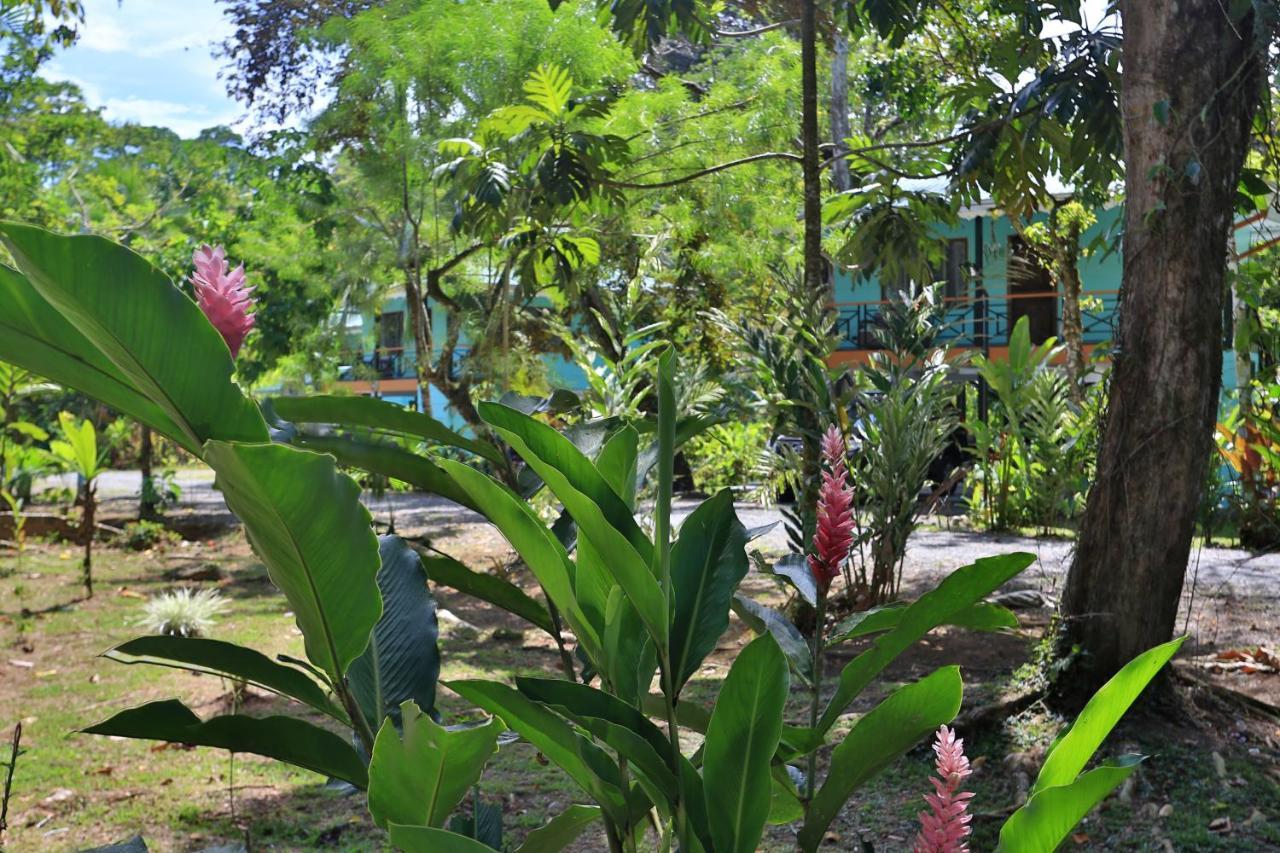 Manzanillo Caribbean Resort Puerto Viejo de Talamanca 외부 사진